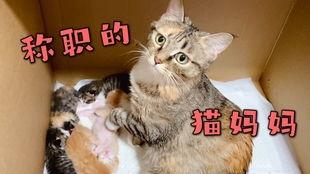 向死而生二狗爆料最新,揭秘娱乐圈不为人知的真相 第1张 向死而生二狗爆料最新,揭秘娱乐圈不为人知的真相 第1张