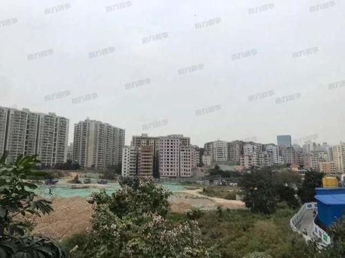 深圳布吉最新爆料,揭秘社区新动态与民生焦点  第3张